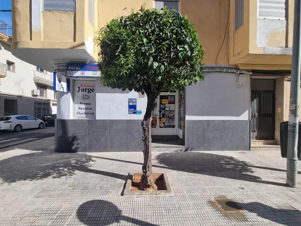 Imagen del punto de venta de Lotería